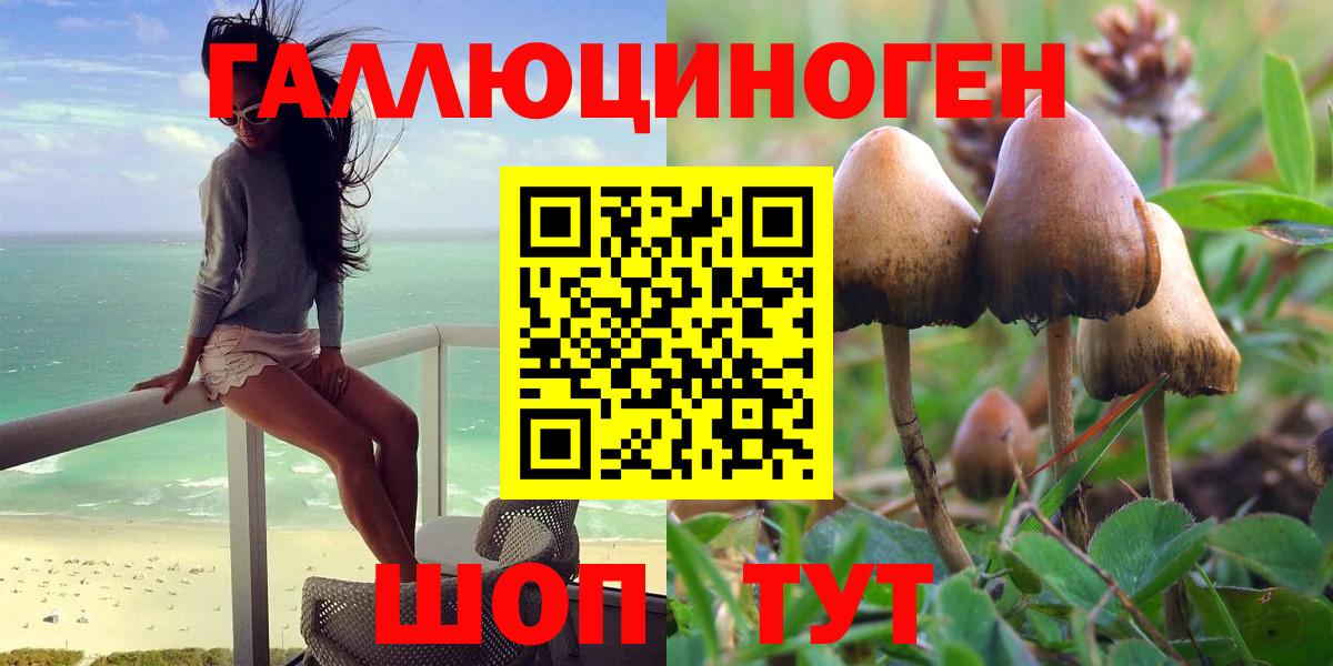 Псилоцибиновые грибы Psilocybine cubensis Ликино-Дулёво