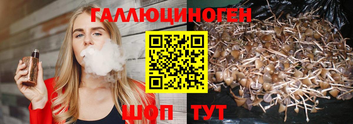 Псилоцибиновые грибы Psilocybine cubensis  Псилоцибиновые грибы MAGIC MUSHROOMS  Ликино-Дулёво  Вход с VPN 